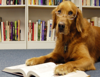Reading Tails! Reading Tails!