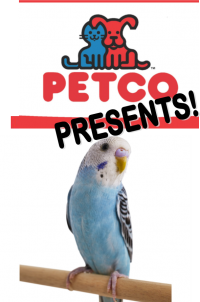 Petco Presents: Parakeet! Petco Presents: Parakeet!