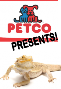 Petco Presents: Bearded Dragon