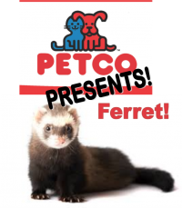 Petco Presents: Ferret! Petco Presents: Ferret!