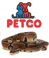 Petco Presents: Ball Python! Petco Presents: Ball Python!