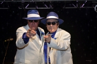 Blues Brothers Rockin N Soul Revue