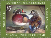 Junior Duck Stamp Art Days