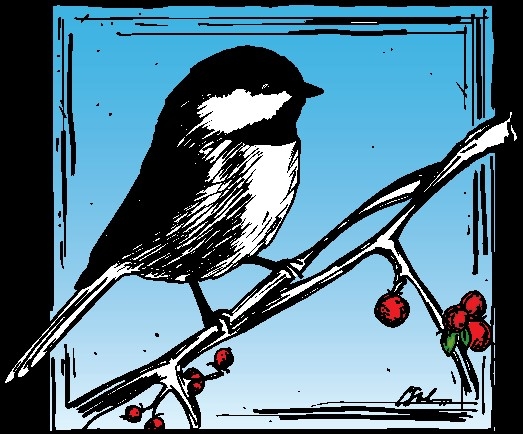 mk nature center bird seed sale 12 03 2016 boise idaho mk nature center bird seed sale 12 03 2016 boise idaho