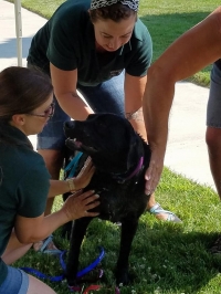 8th Annual Community Dog Wash Fundraiser 8th Annual Community Dog Wash Fundraiser
