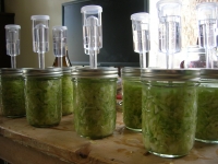 Foundations in Fermentation - Fermented Vegetables Foundations in Fermentation - Fermented Vegetables
