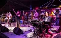 Orgone Orgone