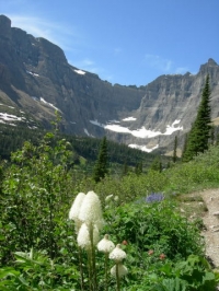 Nature Photography in Glacier Park Nature Photography in Glacier Park
