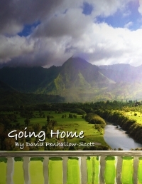 Going Home Going Home