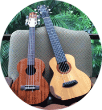 Ukulele Class & Kanikapila (Play the Strings) Ukulele Class & Kanikapila (Play the Strings)