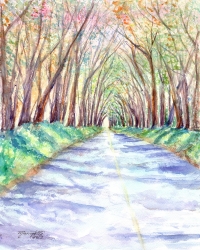 Watercolor Class - Kauai Tree Tunnel Watercolor Class - Kauai Tree Tunnel