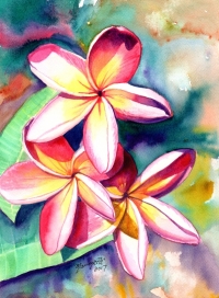 Advanced Watercolor Class - Painting Plumeria Advanced Watercolor Class - Painting Plumeria