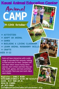 Animal Camp Animal Camp