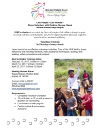 Healing Horses, Kauai Volunteer Orientation Healing Horses, Kauai Volunteer Orientation