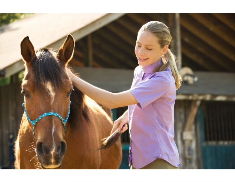 Image for Sunridge Kids Horse Era Days event
