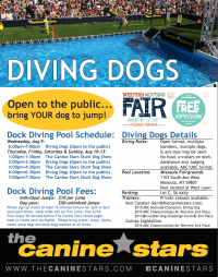 Dock Diving Dogs Dock Diving Dogs