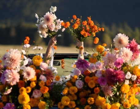 Image for UPick Flowers at Field Five  event