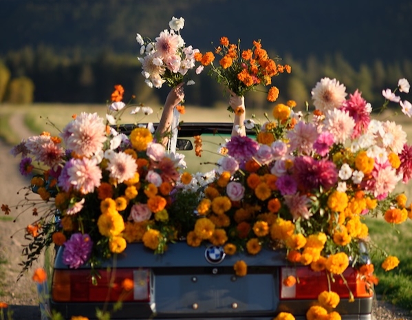 Image for UPick Flowers at Field Five  event