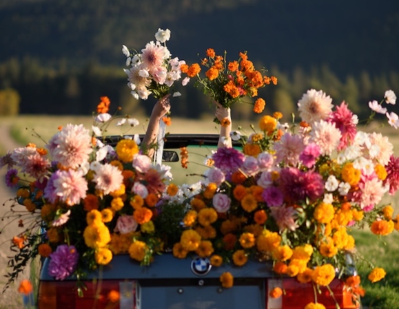 Image for UPick Flowers at Field Five  event