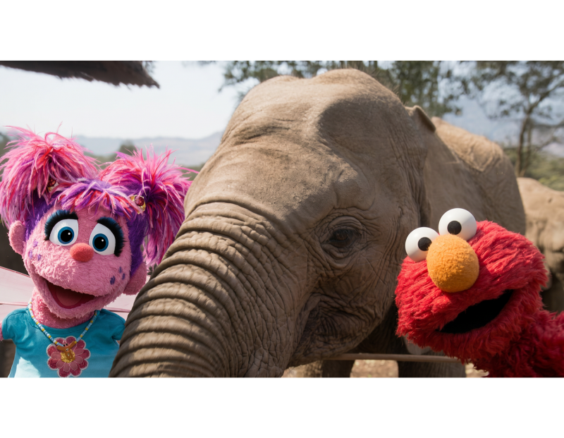 Image for Sesame Street at the Missoula Public Library event