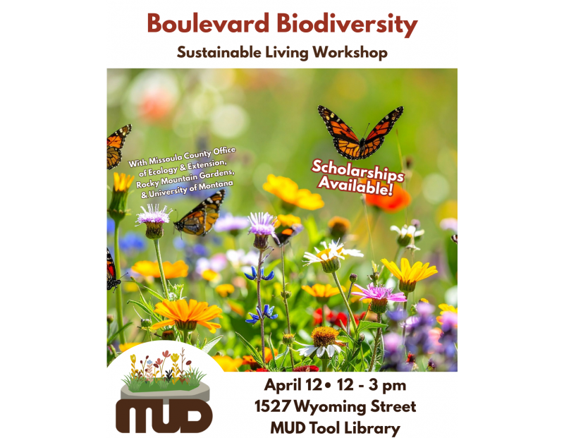 Image for Boulevard Biodiversity Workshop event