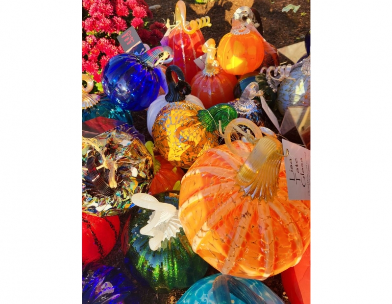 Image for Great Glass Pumpkin Patch event