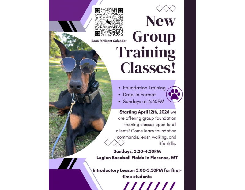 Image for Dog Training Group Class event