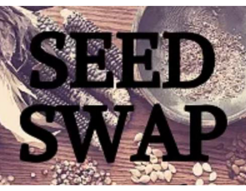 Image for Seed Swap event