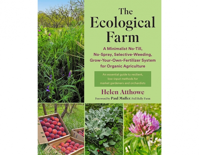 Image for Regenerative Soil Practices with Helen Atthowe event