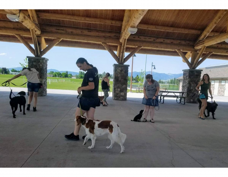Image for Group Dog Training Class event