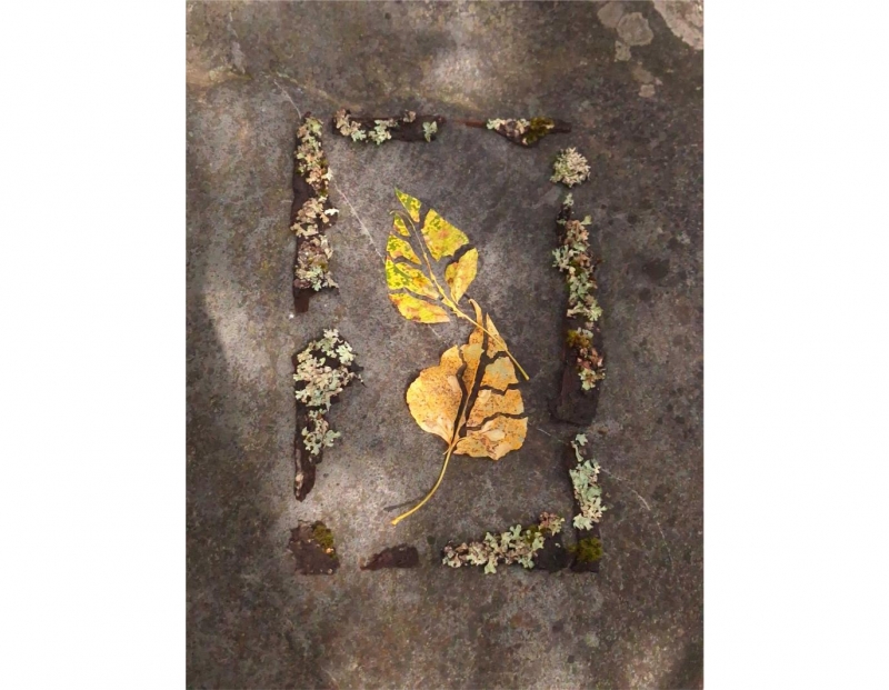 Image for Reflective Morning Movement event
