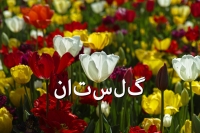 Golestan Golestan