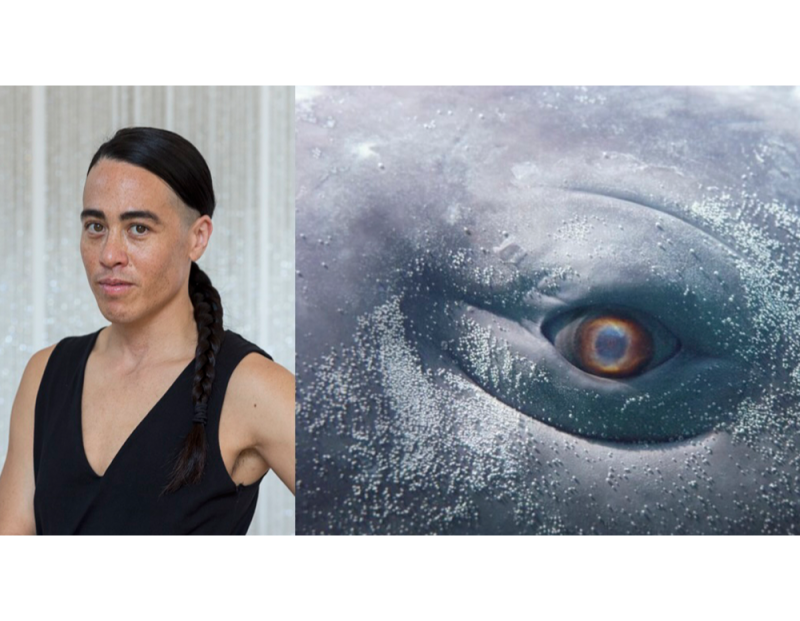 Moby Dick; or, The Whale Moby Dick; or, The Whale