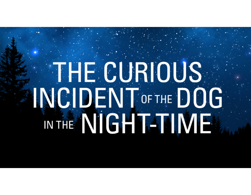 The Curious Incident of the Dog in the Night-Time The Curious Incident of the Dog in the Night-Time