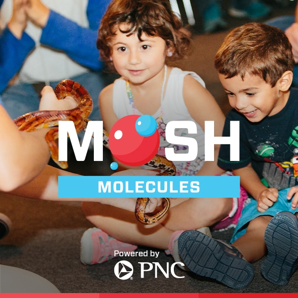 MOSH | Molecules