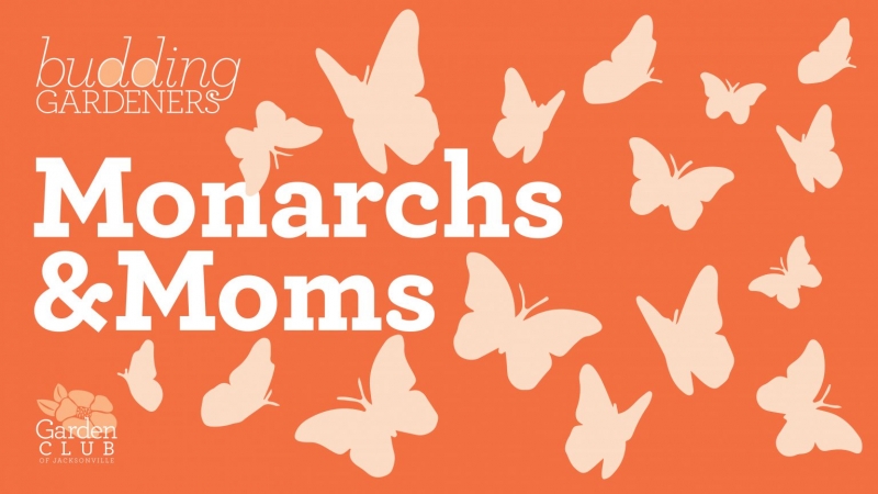 Garden Club | Budding Gardeners: Monarchs & Moms