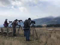 Bird Walk at Lee Metcalf NWR with Five Valleys Audubon Bird Walk at Lee Metcalf NWR with Five Valleys Audubon