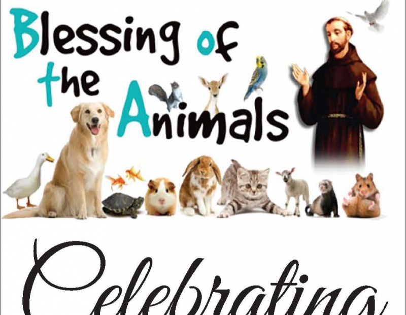 Blessing of the Animals & Community Meal