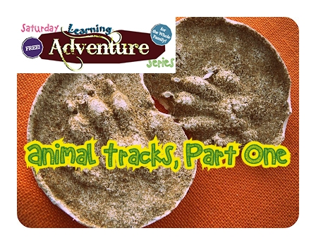 Free Family Activity! Animal Tracks, Part One