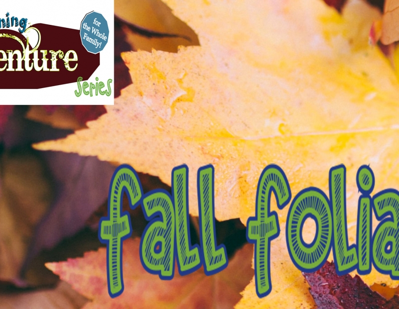 Free Family Activity: Fall Foliage