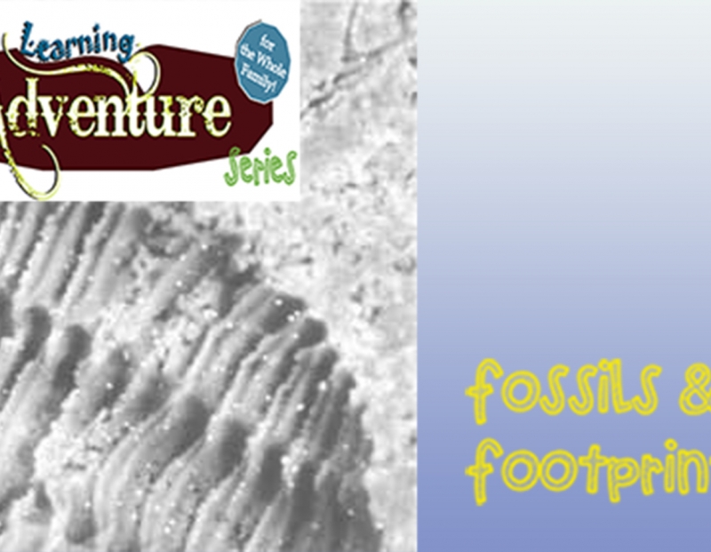 Free Family Activity: Fossils & Footprints