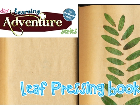Free Family Activity: Leaf Pressing Books