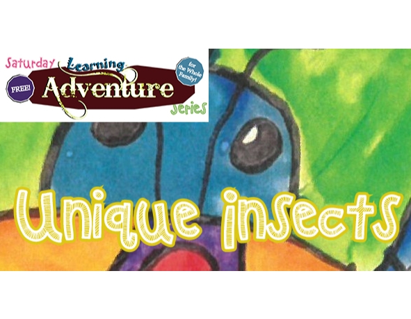 Free Family Activity: Unique Insects