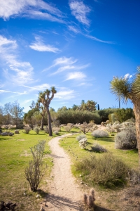 SadaShivacharya Retreat November 13-16, 2020 SadaShivacharya Retreat November 13-16, 2020