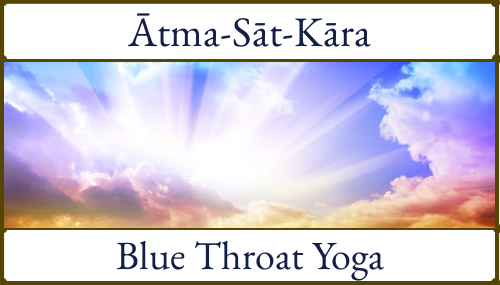 Atma Sat Kara Gathering for Neelakantha Meditation Practitioners