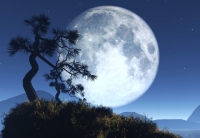 Introduction to Meditation in person and online Introduction to Meditation in person and online