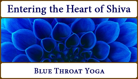 Entering the Heart of Shiva 2022  A Free Introduction to the Course