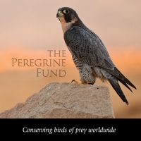 Homeschool Day at World Center for Birds of Prey Homeschool Day at World Center for Birds of Prey