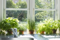 Gardening Series Gardening Series