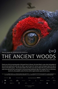 The Ancient Woods - presented by the Bozeman Doc Series The Ancient Woods - presented by the Bozeman Doc Series